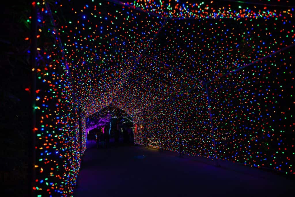 Things To Do In Scottsdale AZ In The Winter Things to do in Scottsdale AZ for Christmas