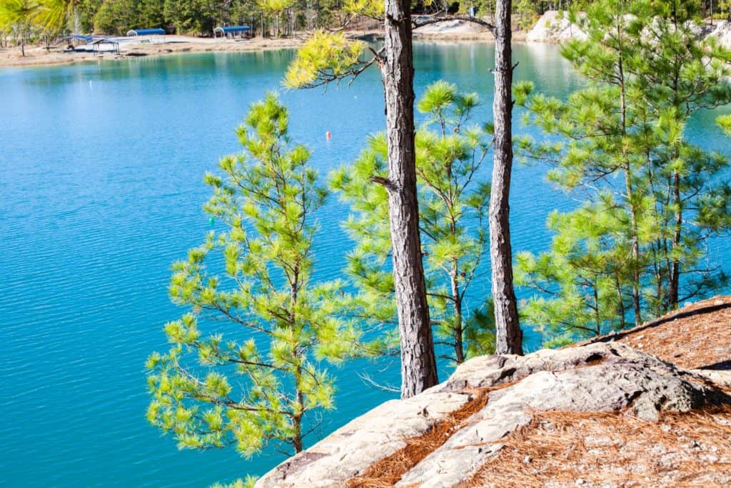 a body of water with trees and rocks