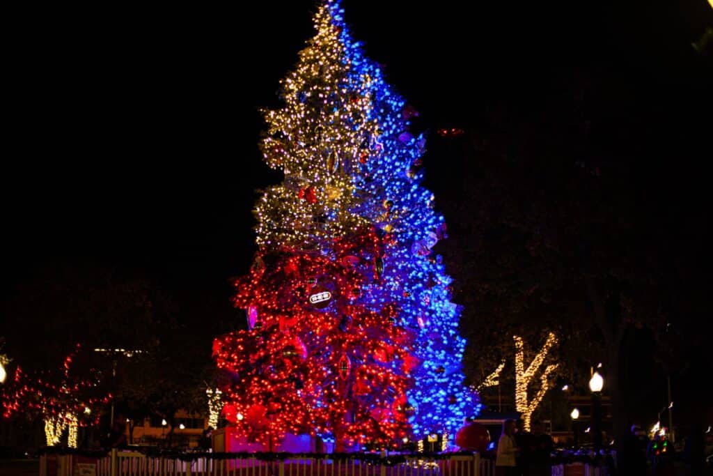 Christmas tree lit to look like the Texas flag