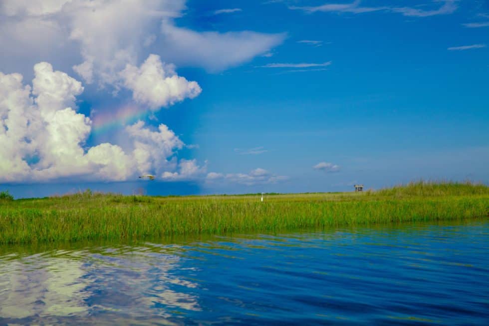 A serene water landscape