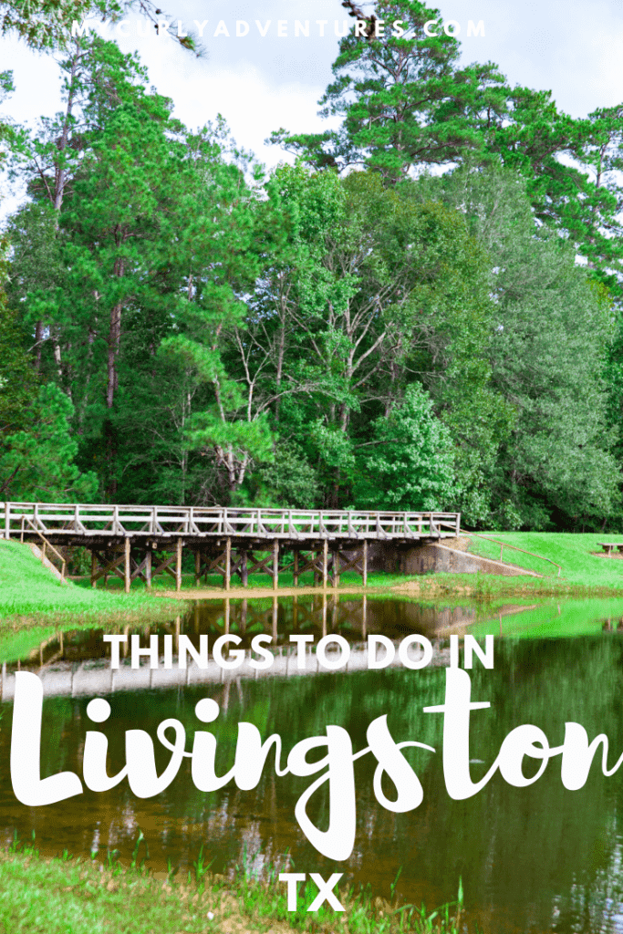 Things to do in Livingston TX 