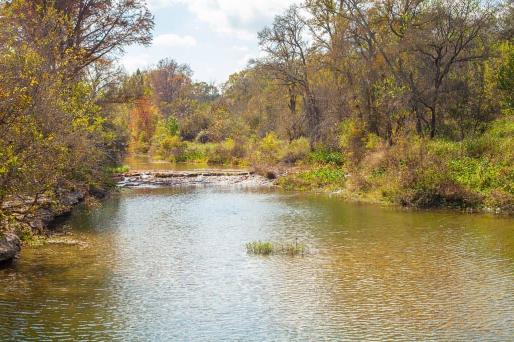 Things to Do in Manchaca TX - My Curly Adventures