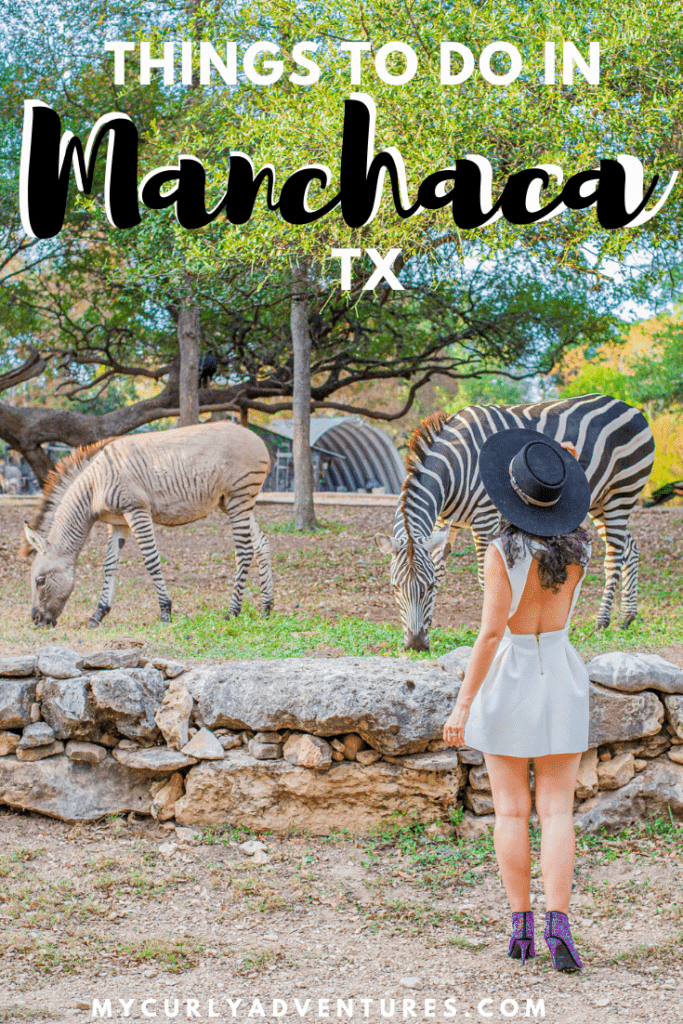 Things to do in Manchaca TX