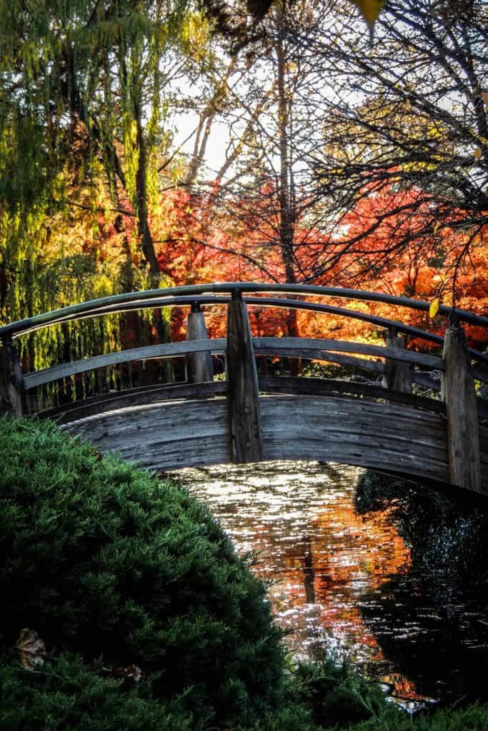 A serene autumn scene featuring a wooden bridge