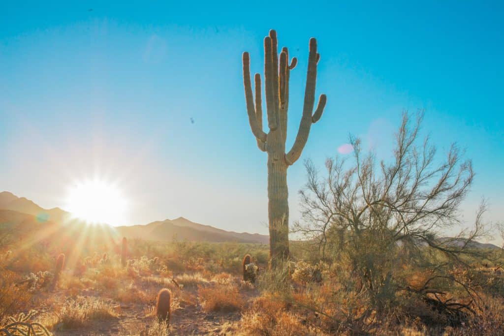 How to Spend a Weekend in Scottsdale AZ
