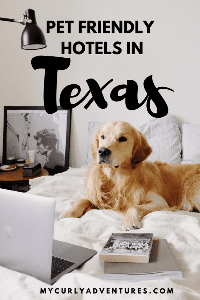 Affordable, Pet-Friendly Hotels in Texas