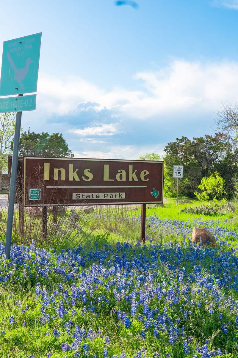 A sign that says "Ink Lake" amidst a field of vibrant blue flowers. A picturesque scene of nature's beauty.