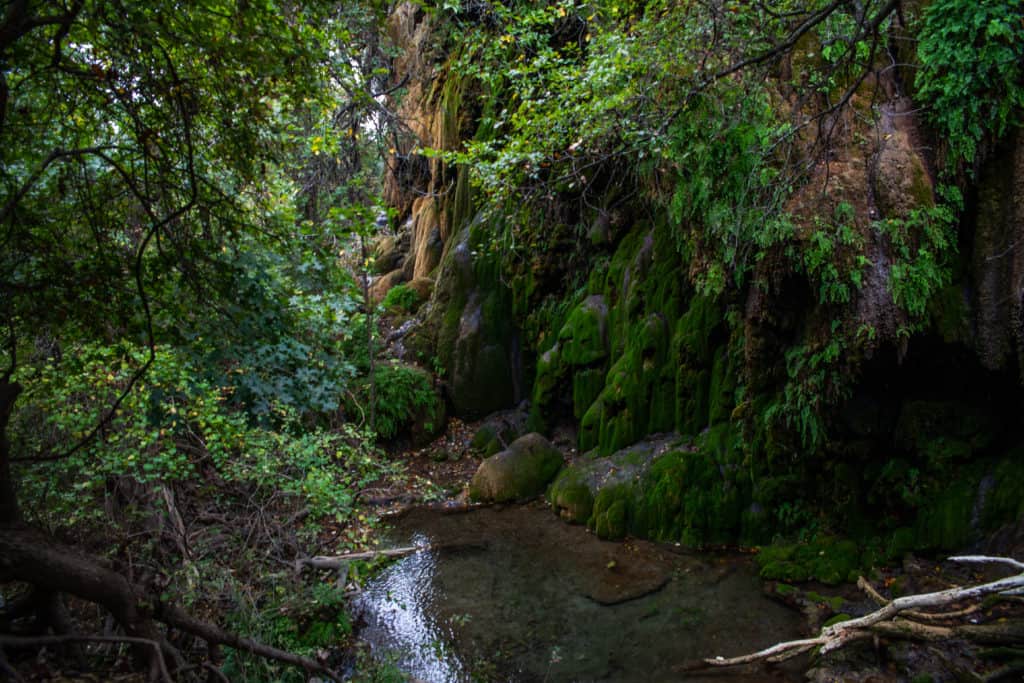 Vacation spots in TX by water