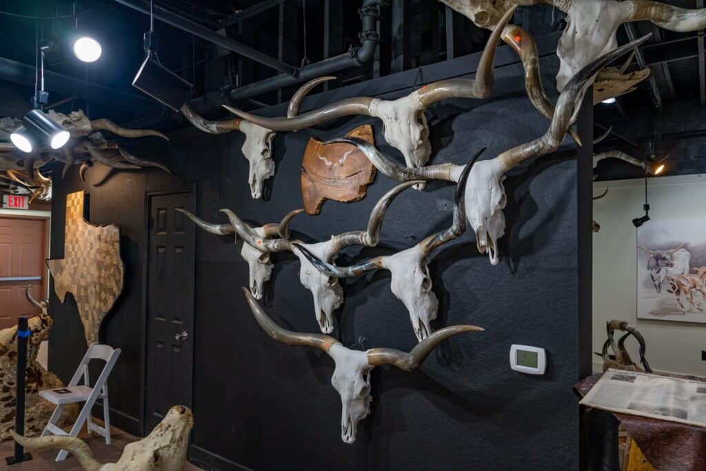 a wall with skulls of animals