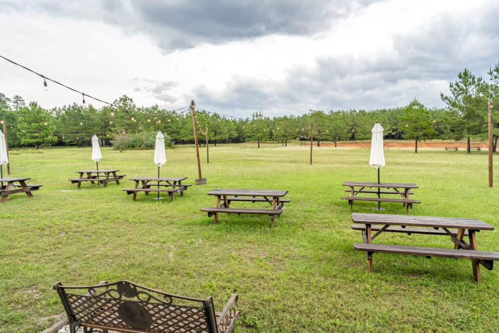 picnic tables and benches in a grassy area