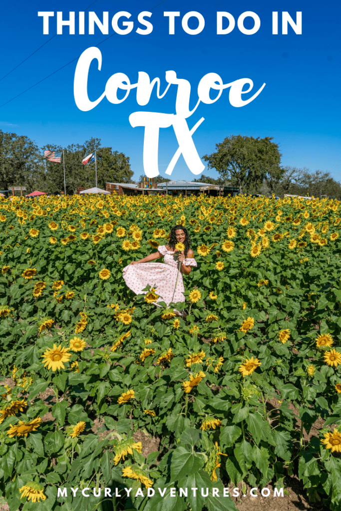 Things to do in Conroe TX