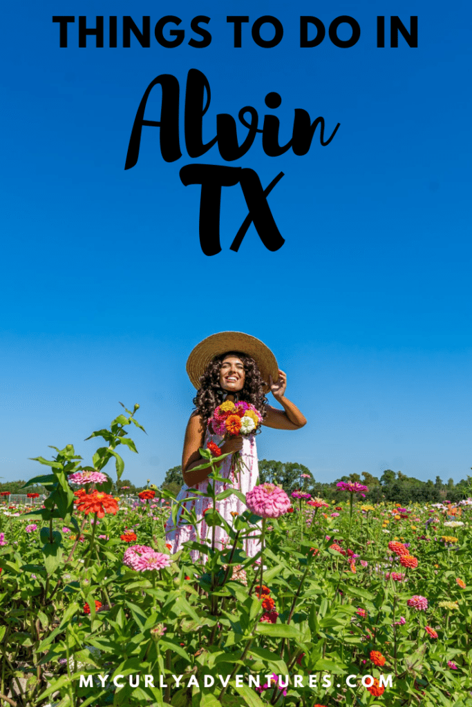 Things to do in Alvin TX 