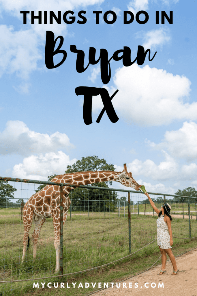 Things to do in Bryan TX