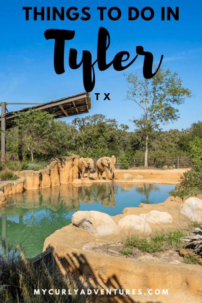 Things to do in Tyler TX