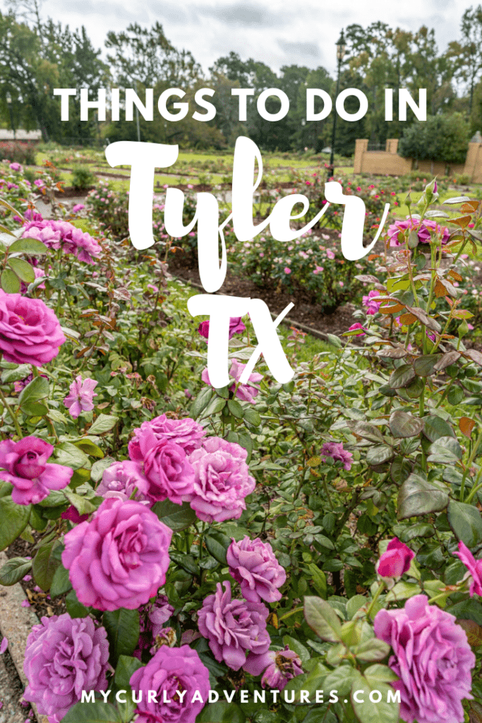 Things to do in Tyler TX