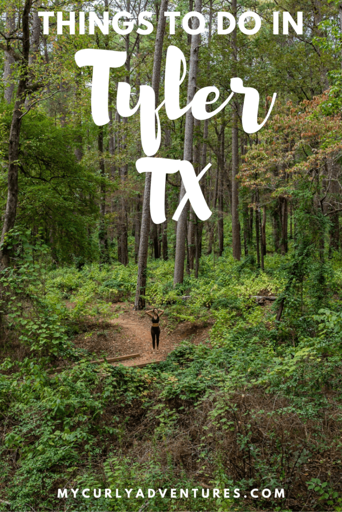 Things to do in Tyler TX