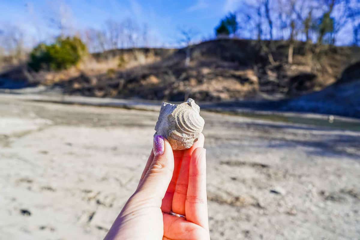 Where to Stay in Ladonia TX A Review of the Ladonia Air Castle My