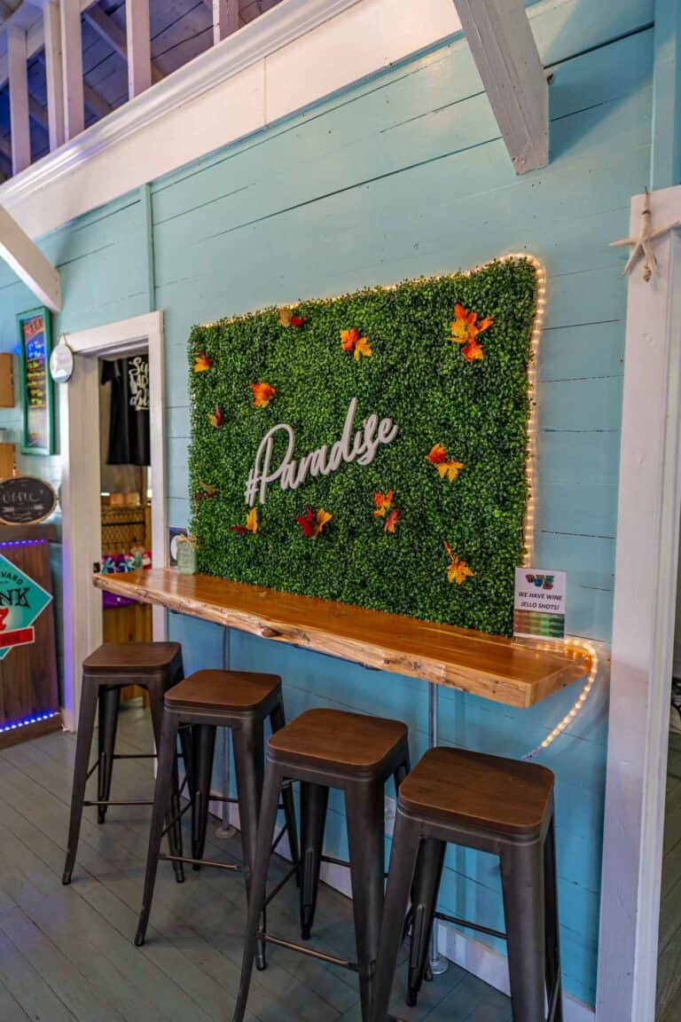 Best Bars in Bay Area Houston My Curly Adventures