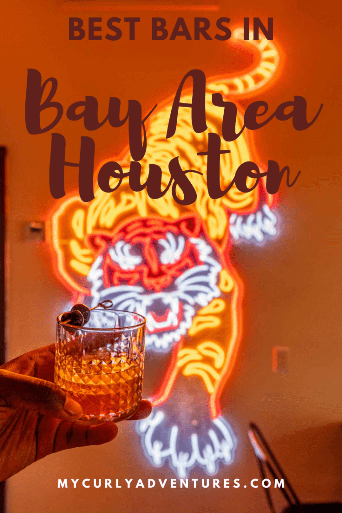  Bars in Bay Area Houston