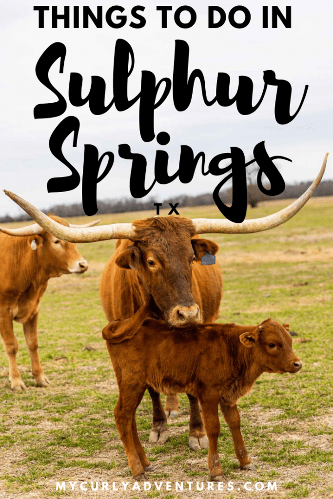 Things to Do in Sulphur Springs