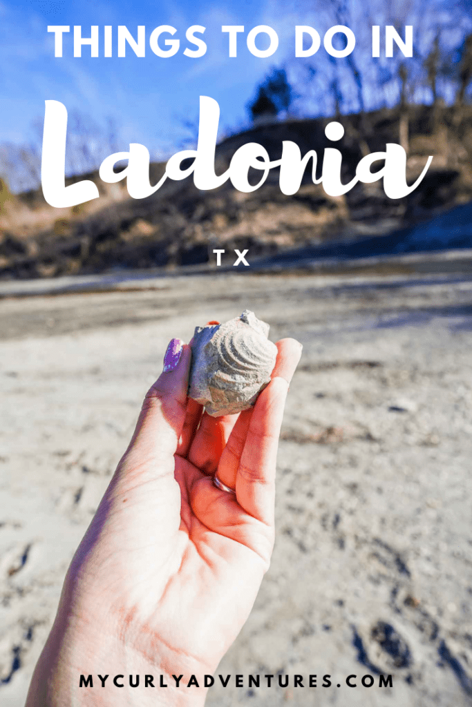 Fossilized shell from Ladonia TX Fossil Park
