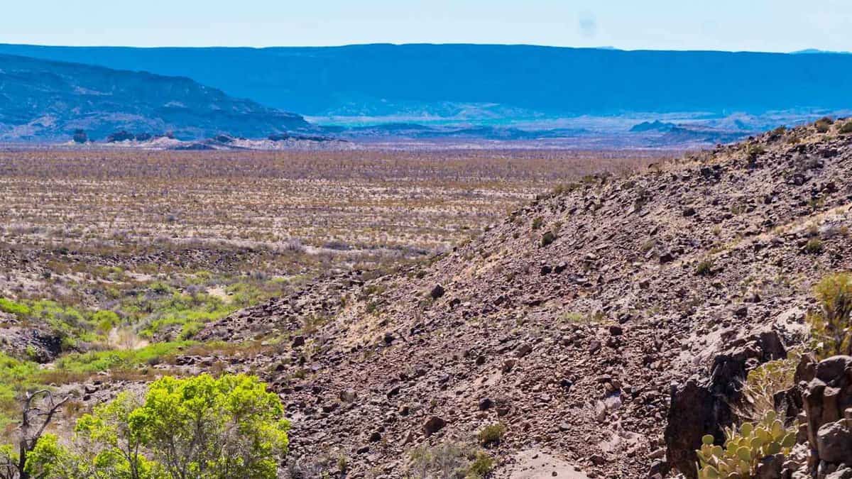 Desert landscape within Big Bend