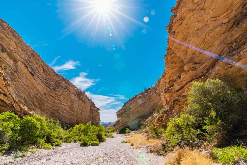 Tall canyon walls with the sun overhead on Ernst Tinaja trail in Big Bend
