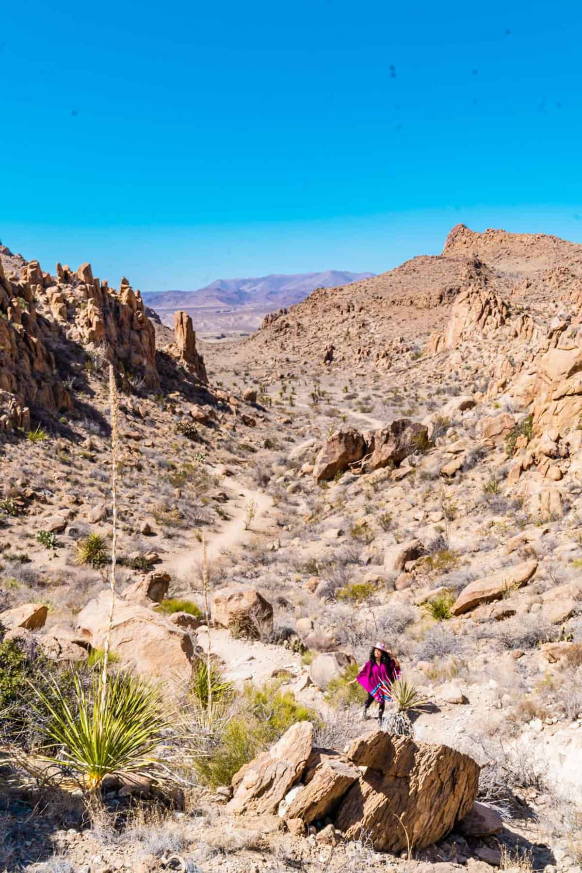 Jessica walking the trail to the Balanced Rock formation in Big Bend