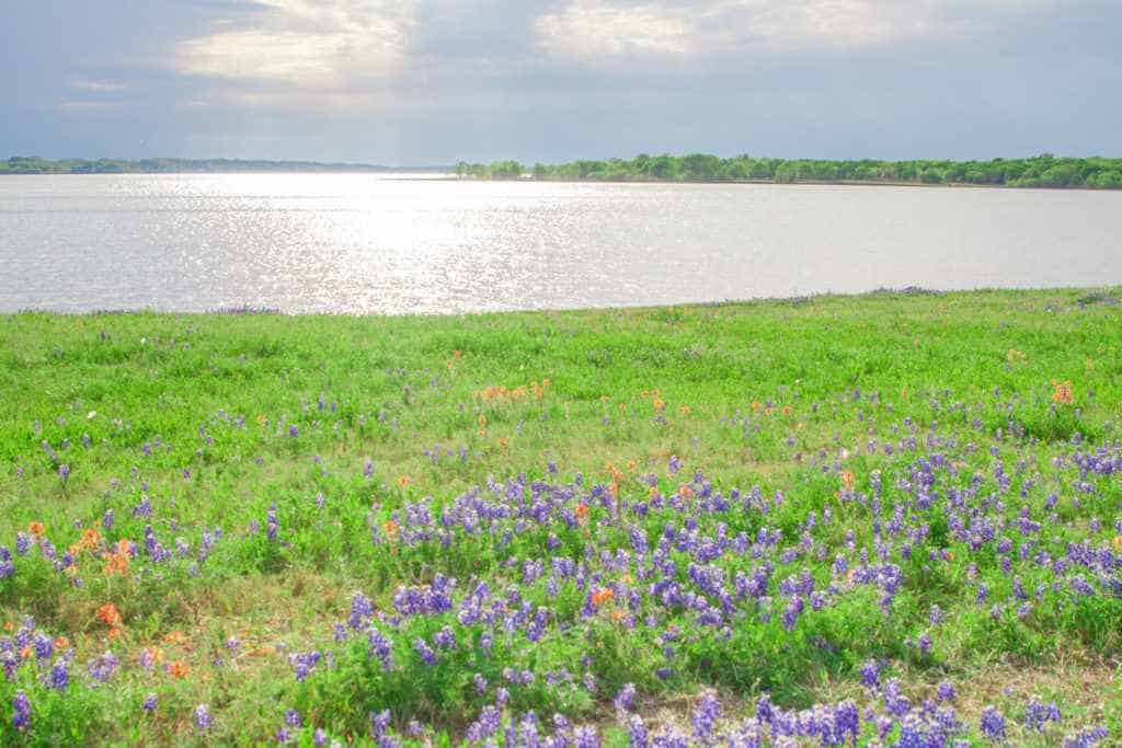 View of Bardwell Lake TX Lake Getaway