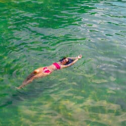 Barton Springs (4) (1)