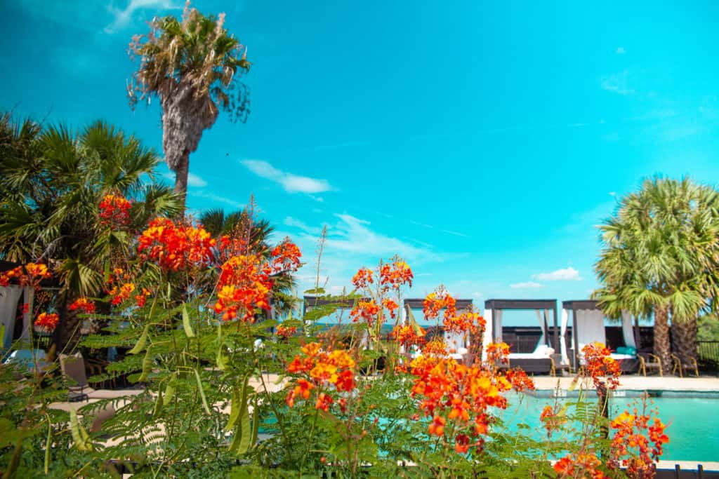 Pool surrounded by sunning chairs and palm trees Romantic Things to Do Date Ideas Couples St. Petersburg 