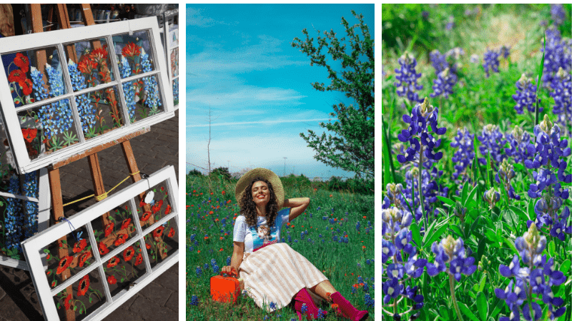 A vibrant collage of a woman enjoying a flower-filled field