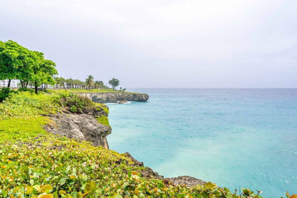 a cliff edge with trees and a body of water