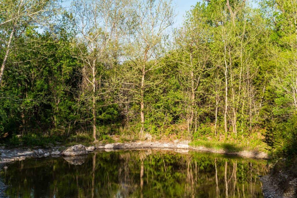 Pond near the Silo