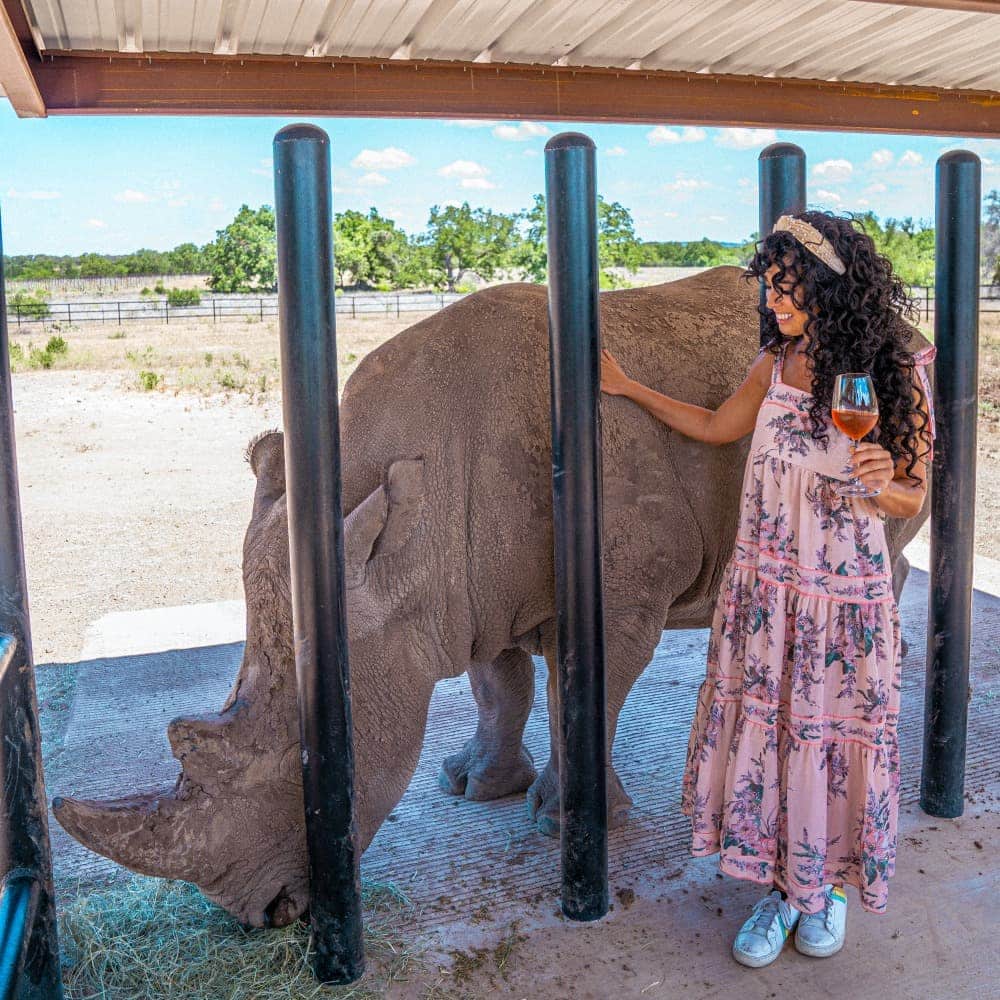 Woman with a wine glass in hand petting a rhino