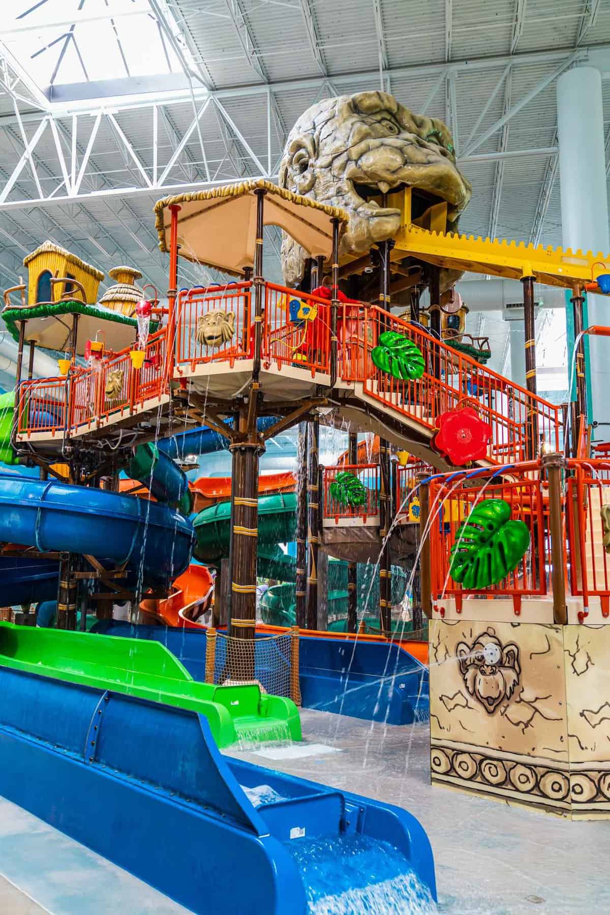 Jungle themed slide area by the pool