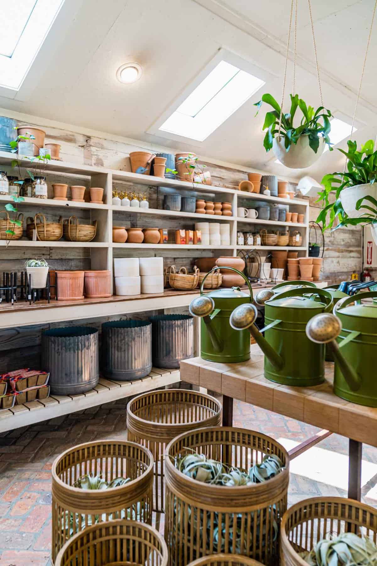 Pots and Plants Essentials