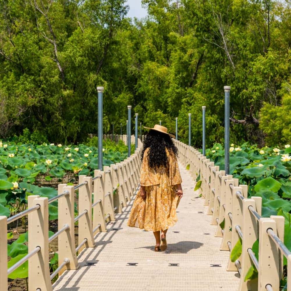 Woman walking along wooden bridge over a huge field of vegetation