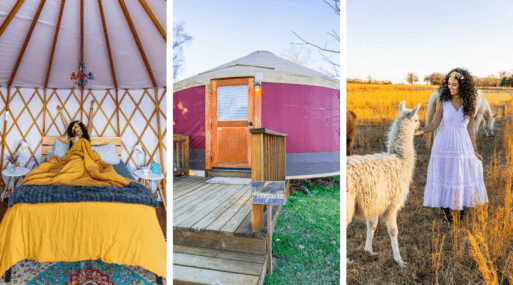 Lady posing on the bed inside the glamping tent, outer view of the glamping tent, lady interacting with a llama