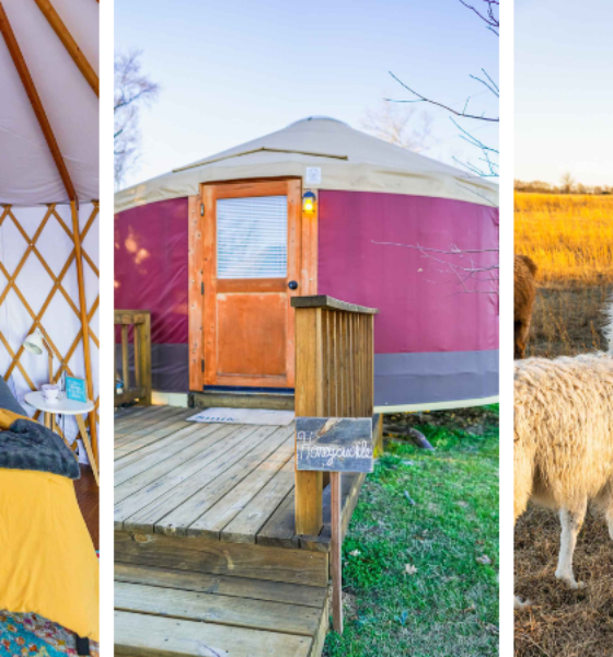 Where to Stay Near Dallas TX This Weekend: A Review of Wildflower Yurts