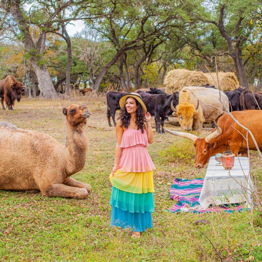 Woman standing in a field full of different safari animals