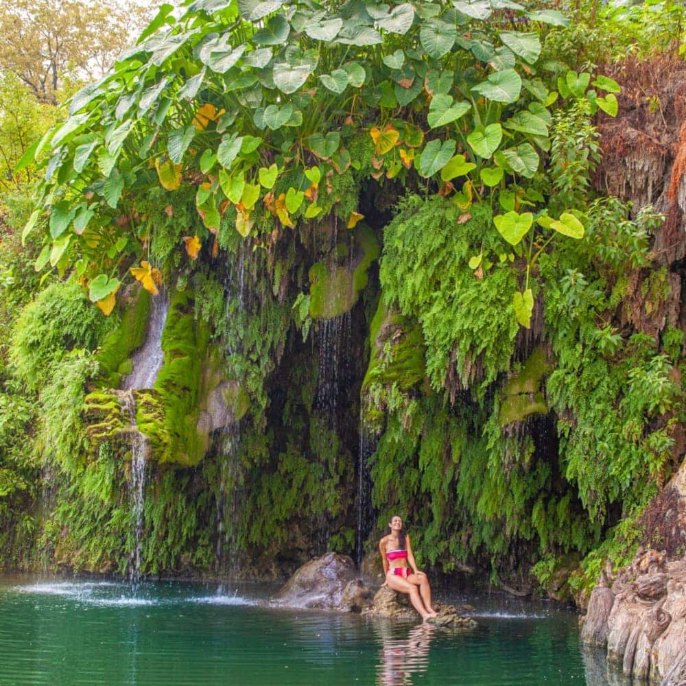 Woman sitting on a rock under some hanging foliage by the lake