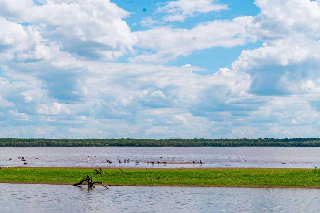 View of the lake at the wildlife refuge