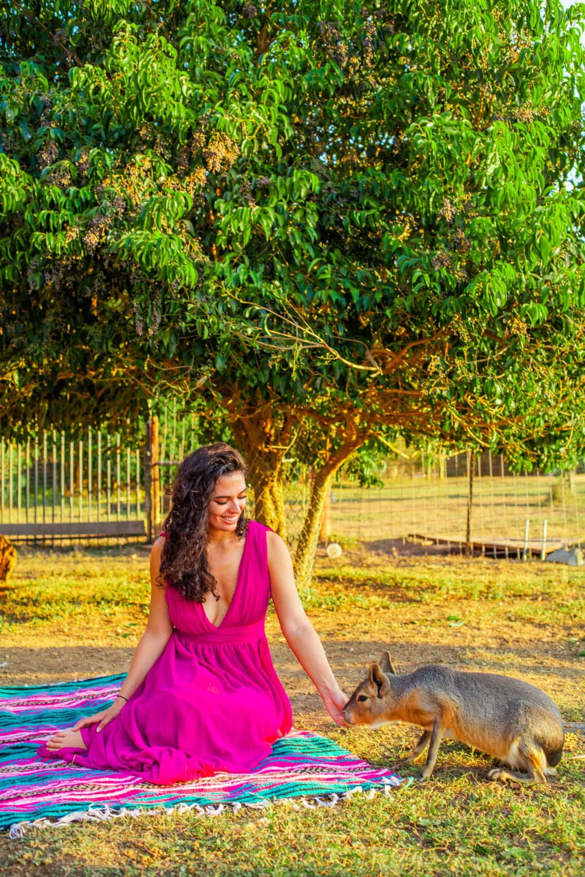 A woman sitting on the ground with an animal