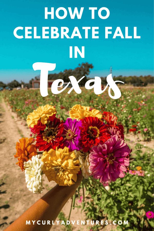 The Best 2024 Fall Festivals & Pumpkin Patches in Texas My Curly