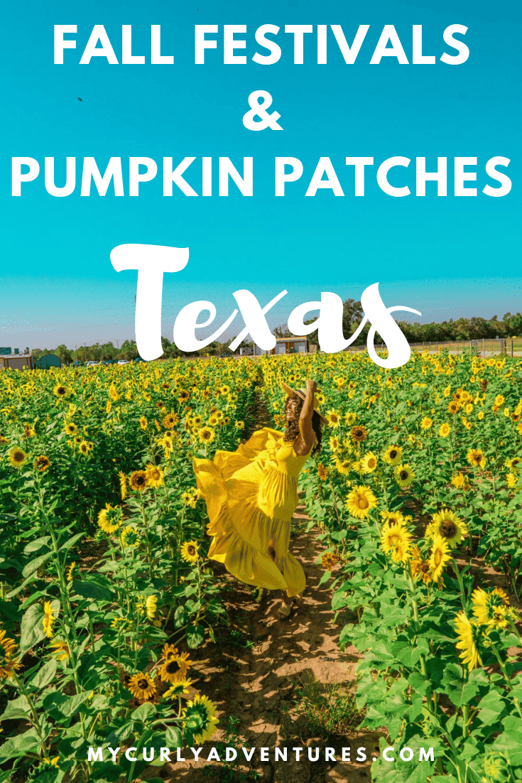 60+ Best 2023 Fall Festivals & Pumpkin Patches in Texas My Curly