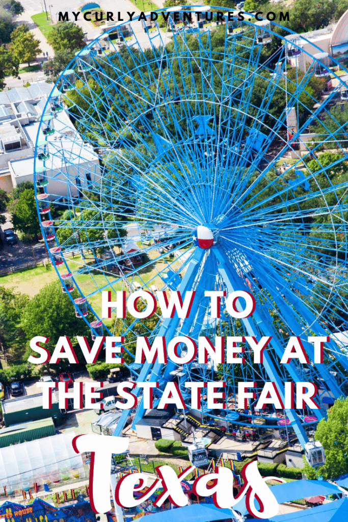 Ferris wheel at the state fair
