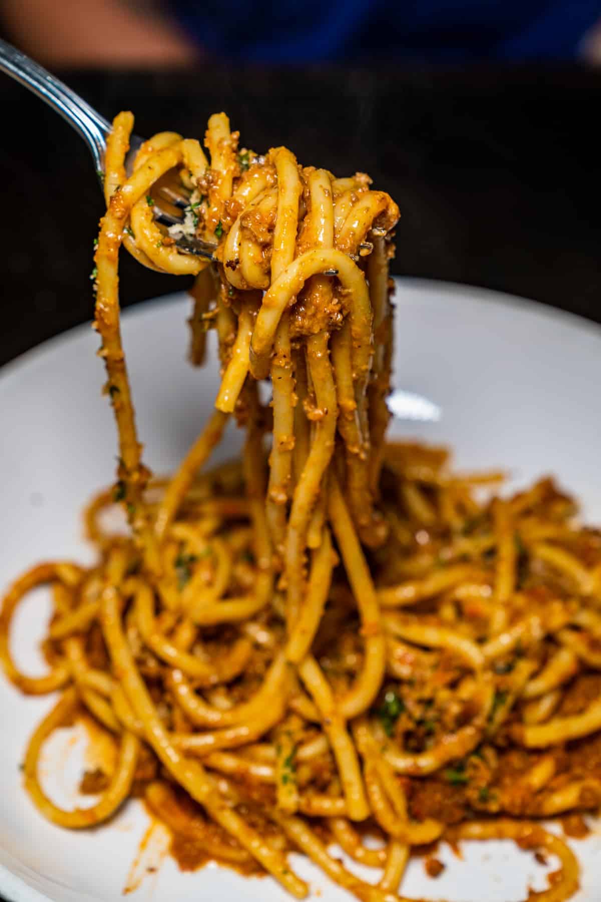 A fork full of Bolognese spaghetti