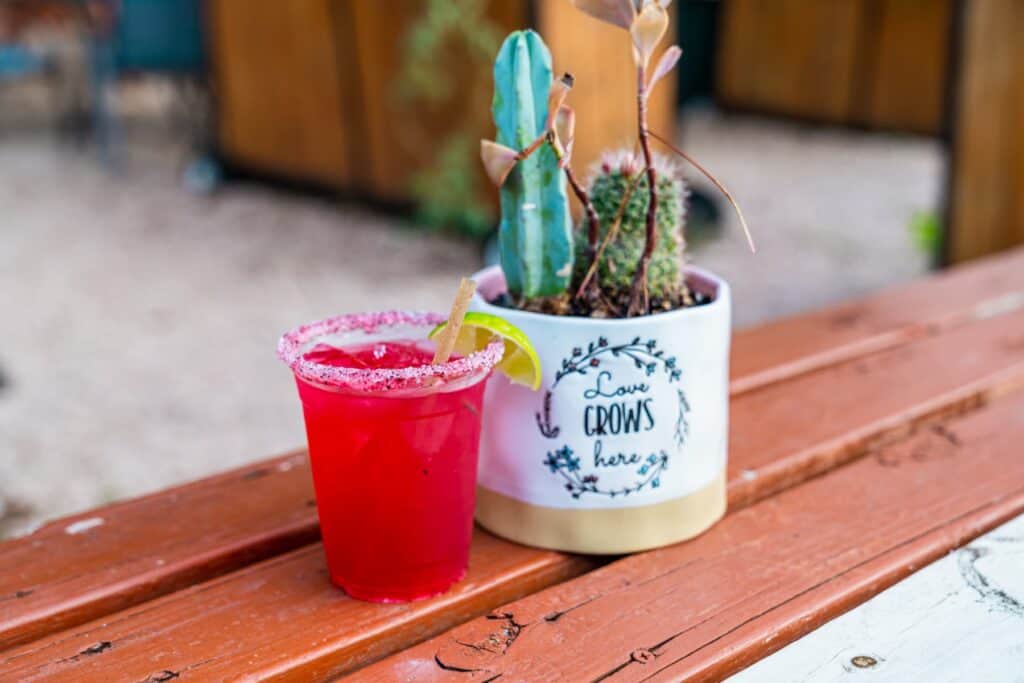 Pink cocktail with sugar rim and a lemon next to a succulent