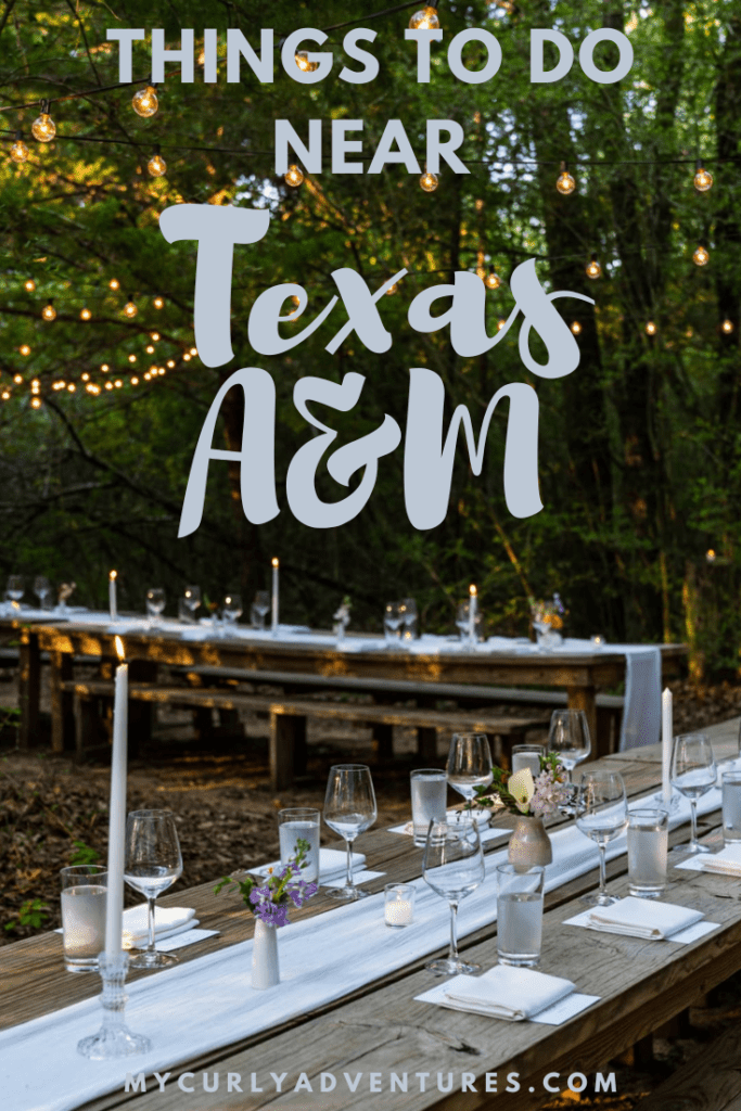 Things to Do Near Texas A&M pin image